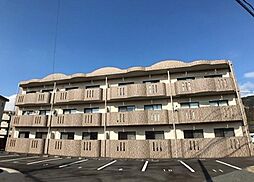 ション・ドゥ・ソレイユ 305