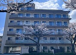 エストゥルース府中