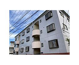 シェモア’87 101