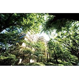 パークシティ本牧Ｇ棟 509