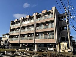 エテルノ（ｅｔｅｒｎｏ） 207