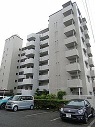 弥生パインマンション 501