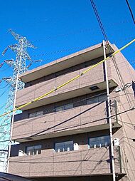 ＰＡＤＤＹ　ＦＩＶＥ 203