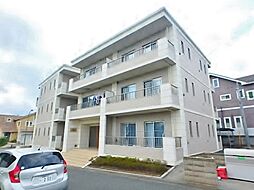 Festa　フェスタ 302