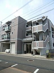プリムローズ 202