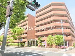 クリサンテーム妙典