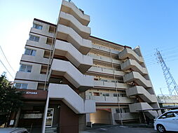 Ｒｉｃｏｒｓｏ　ＪＯＹＡＭＡ 605