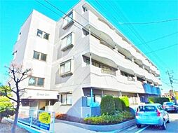 八王子市松木