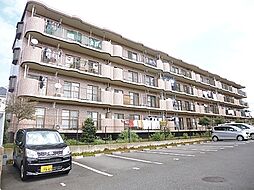 ＳＯＵＴＨ　ＨＩＬＬＳ 107