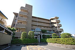 ＡＳＴＩＣ　ＡＳＡＤＡ