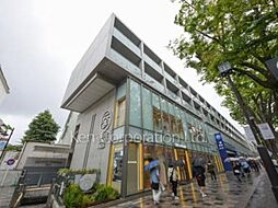 表参道ヒルズゼルコバテラスＷＥＳＴ棟
