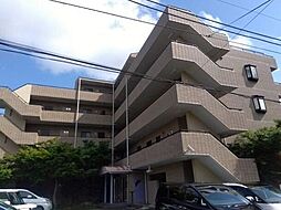 ＢＥＬＬＥ　ＣＲＥＥＲ(ベルクレエ)