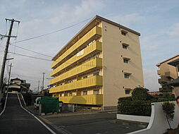八尋ビル大豊 203