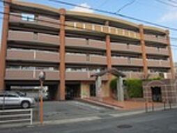 シャルドーネ石丸