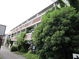 ALIVE アライブ 3A