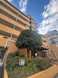 カサヴェール河辺