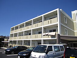 Ｄｅａｍｅｒ　ＡＫＡＹＡＭＡ