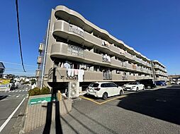 シャルムすみれ 404