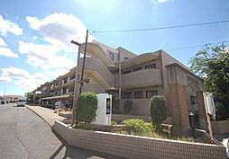 ベルグプレシャデス船橋
