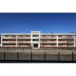 プレミアムコートみなみ野ＩＩ