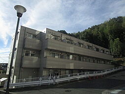 ジャスティス 206