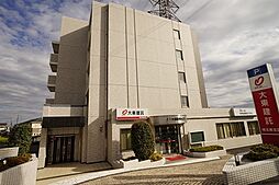 カンファ−　トゥリー 501