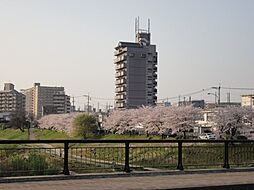 アクアサイドＧＥＮ 803