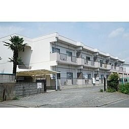 ルミエール本宿参番館 205