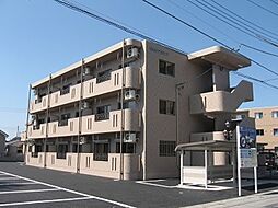 Ｙ＆Ｍアカシア 203