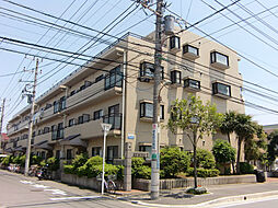 市川市富浜３丁目