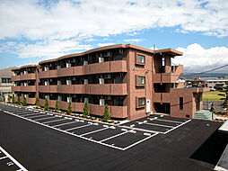 ベル・フラワー 101