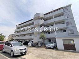 アフィニス原木