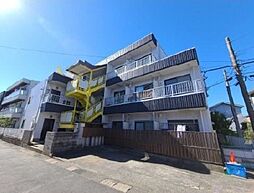 ホワイトコート