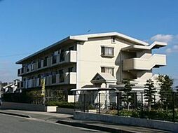 シティハイツ春日 303