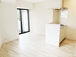 ステラフォート