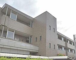 スカイパレス光が丘Ａ 102