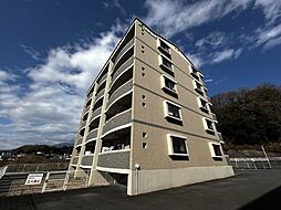 ヴィブレフリージア 205