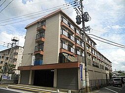 フォーサイト老司Ｒｎａｔｕｓ 407