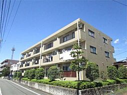 ラピュタTAMA 303