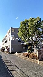 エレガンテ アルバ