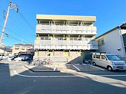 サイプレスガーデン