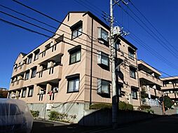 シルクトゥリー A201