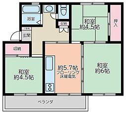 洋光台南第2団地5号棟