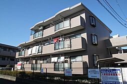 りぶいんしらゆり星1