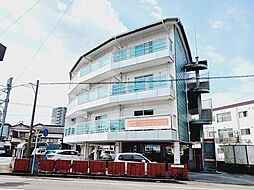 サーベイティックII 306