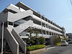 エバーグリーン