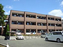 ｓｐｅｒａｎｚｅ（スペランツァ） 205