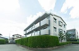 レジオン・ドヌール B205