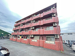 ルミナリエ129 206