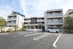 Shamaison Stella Risaia 301